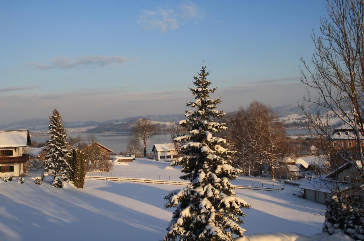 Gasthof Zur Seeburg Seekirchen am Wallersee Εξωτερικό φωτογραφία